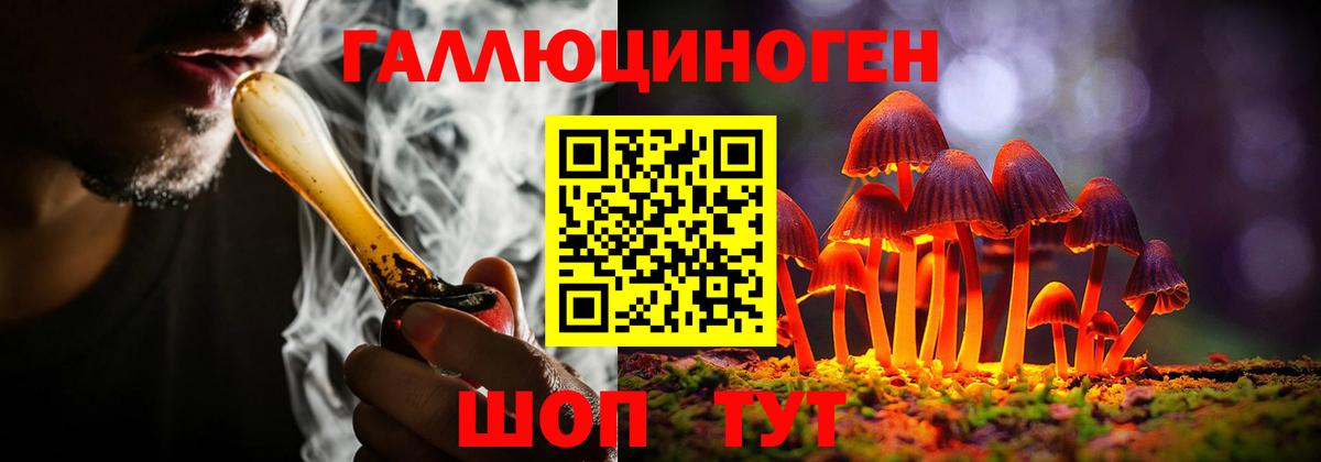 Новоалександровск  Галлюциногенные грибы Cubensis  Вход с VPN 